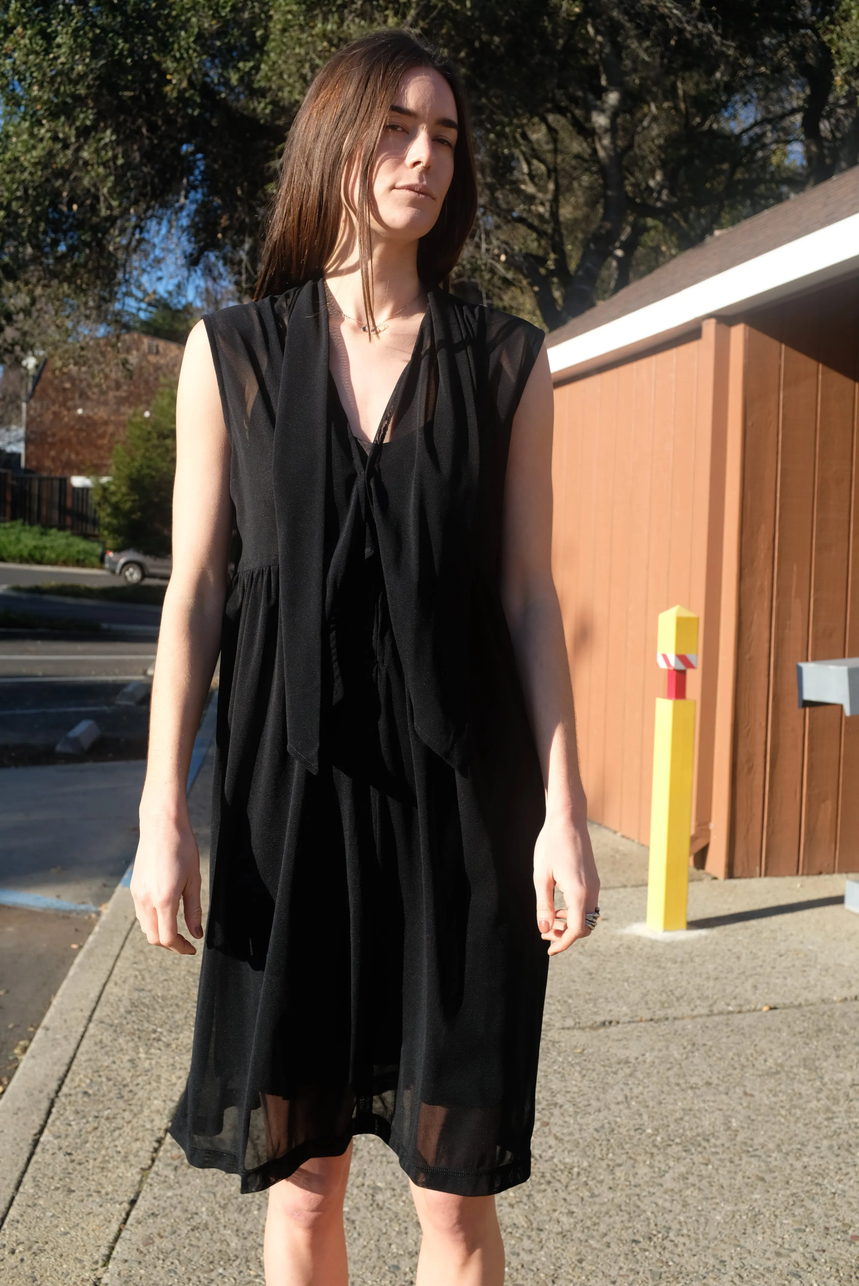 Beklina Nuevo Famoso Dress Black